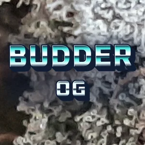 Budder OG Cannabis Strain