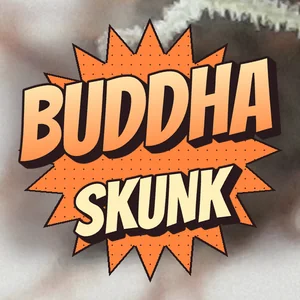 Buddha Skunk Cannabis Strain