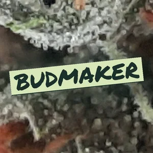 Budmaker Cannabis Strain