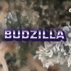 Budzilla Cannabis Strain