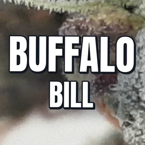 Buffalo Bill Cannabis Strain