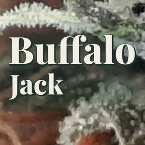 Buffalo Jack Cannabis Strain