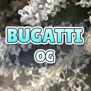 Bugatti OG Cannabis Strain
