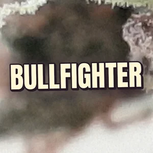Bullfighter Cannabis Strain