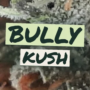 Bully Kush Cannabis Strain