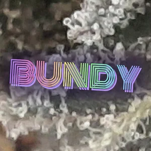 Bundy Cannabis Strain