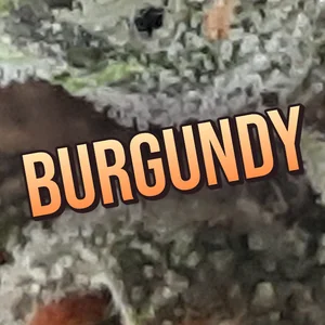 Burgundy Cannabis Strain