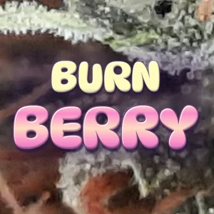 Burn Berry Cannabis Strain