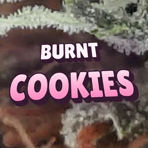 Burnt Cookies Cannabis Strain