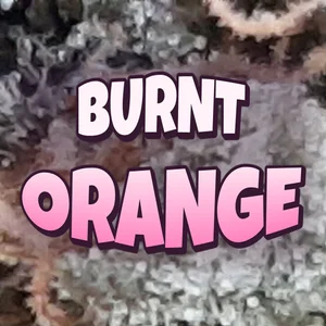 Burnt Orange Cannabis Strain