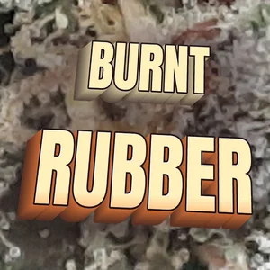 Burnt Rubber Cannabis Strain