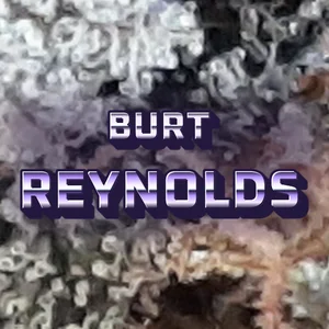 Burt Reynolds Cannabis Strain