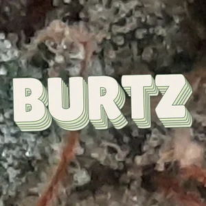 Burtz Cannabis Strain