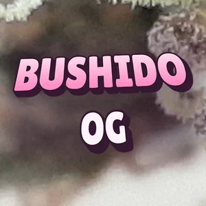 Bushido OG Cannabis Strain
