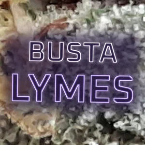 Busta Lymes Cannabis Strain