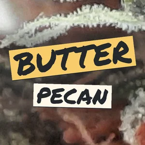 Butter Pecan Cannabis Strain