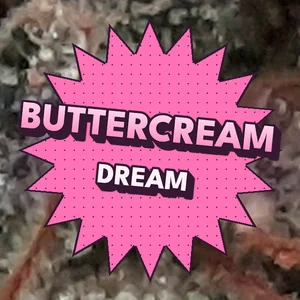 Buttercream Dream Cannabis Strain