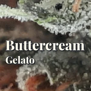 Buttercream Gelato Cannabis Strain