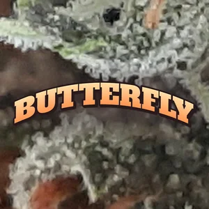 Butterfly Cannabis Strain