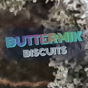 Buttermik Biscuits Cannabis Strain