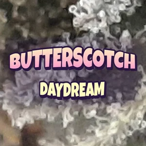 Butterscotch Daydream Cannabis Strain