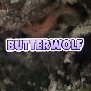 Butterwolf Cannabis Strain