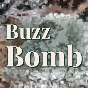 Buzz Bomb Cannabis Strain