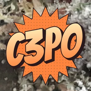 C3PO Cannabis Strain