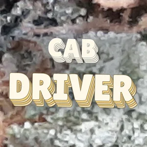 Cab Driver Cannabis Strain
