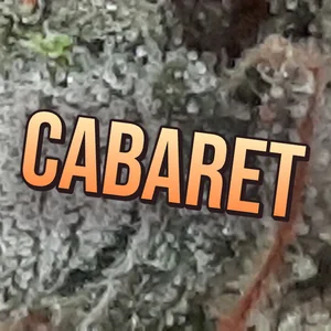 Cabaret Cannabis Strain