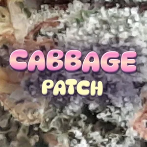 Cabbage Patch Cannabis Strain