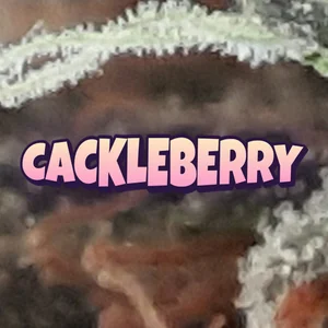 Cackleberry Cannabis Strain