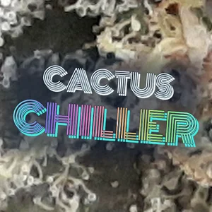 Cactus Chiller Cannabis Strain