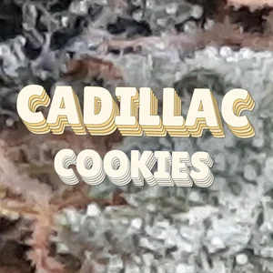 Cadillac Cookies Cannabis Strain