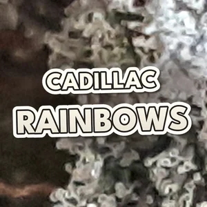 Cadillac Rainbows Cannabis Strain