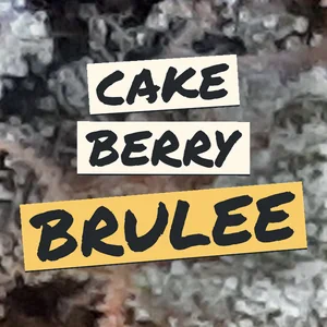 Cake Berry Brulee Cannabis Strain