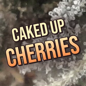Caked Up Cherries Cannabis Strain