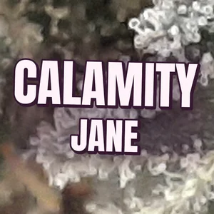 Calamity Jane Cannabis Strain