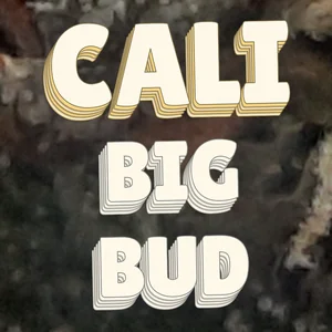 Cali Big Bud Cannabis Strain