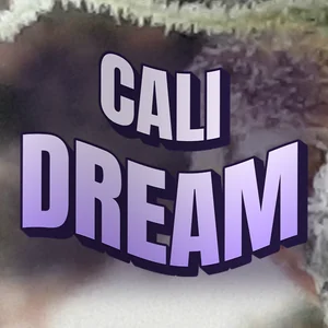 Cali Dream Cannabis Strain
