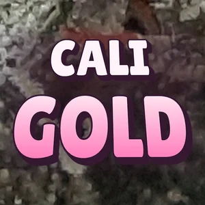 Cali Gold Cannabis Strain