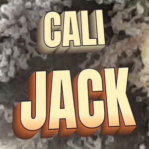 Cali Jack Cannabis Strain