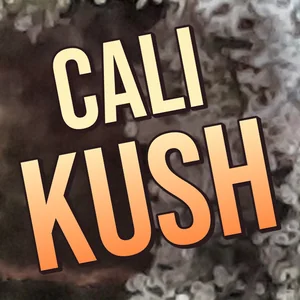 Cali Kush Cannabis Strain