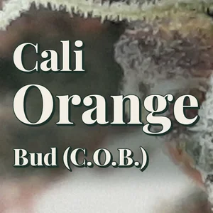 Cali Orange Bud (C.O.B.) Cannabis Strain