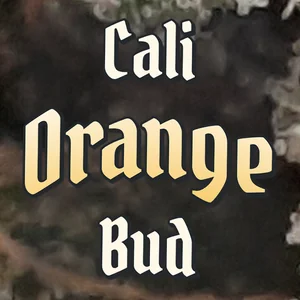 Cali Orange Bud Cannabis Strain