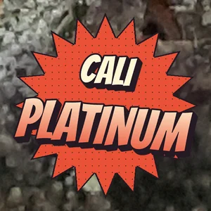 Cali Platinum Cannabis Strain