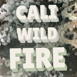 Cali Wild Fire Cannabis Strain