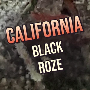 California Black Roze Cannabis Strain
