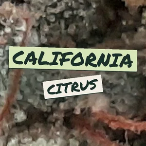 California Citrus Cannabis Strain