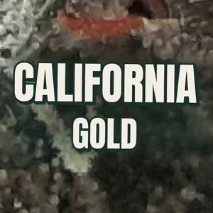 California Gold Cannabis Strain